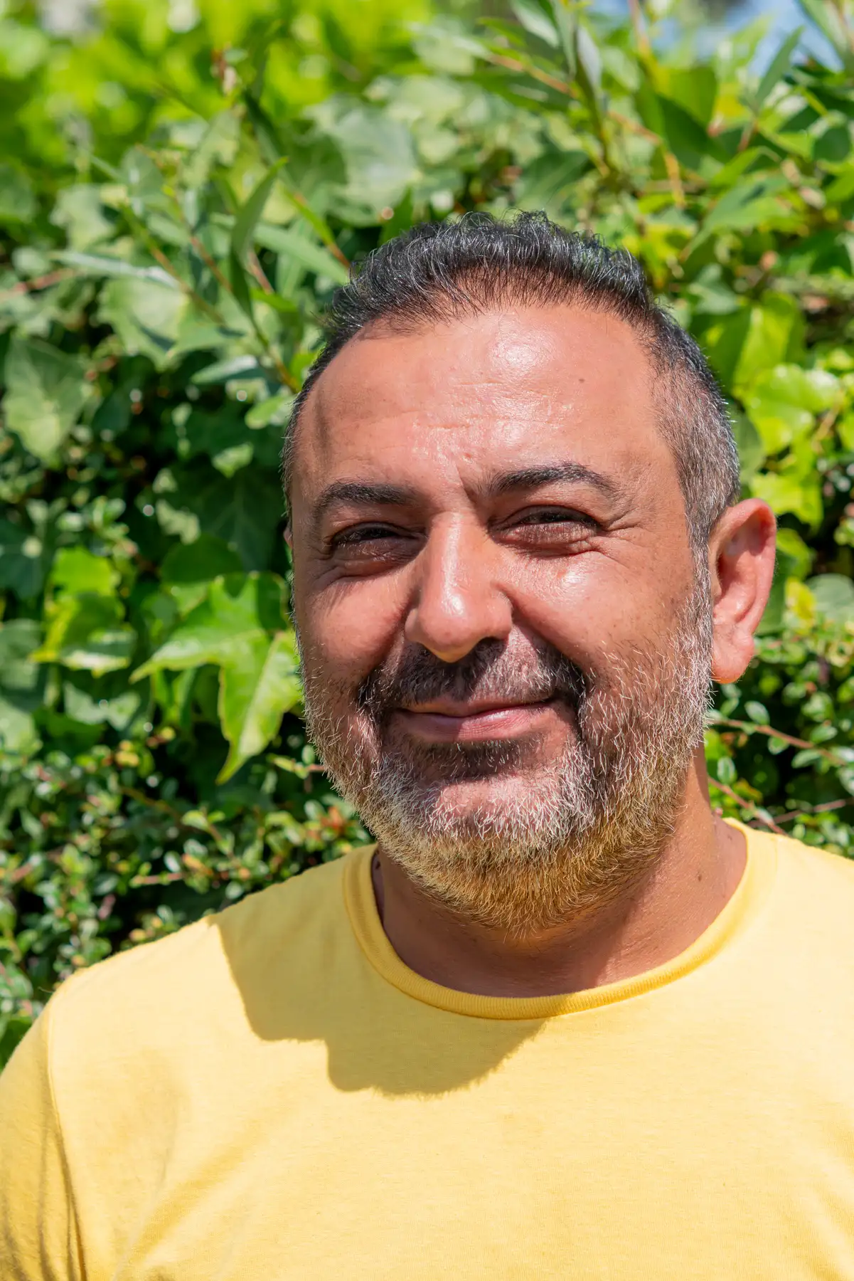 Porträt von Geschäftsführer Mohamad Shekho